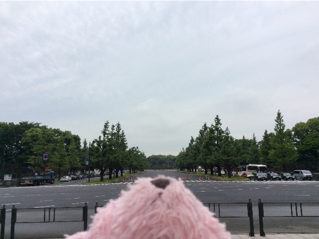 f:id:pinkstrawberryflavor:20150605133352j:image f:id:pinkstrawberryflavor:20150605133352j:image