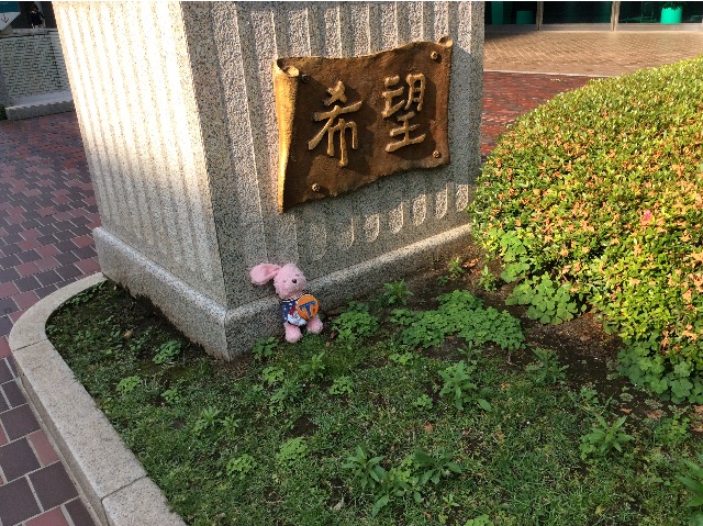 f:id:pinkstrawberryflavor:20150611141238j:image f:id:pinkstrawberryflavor:20150611141238j:image