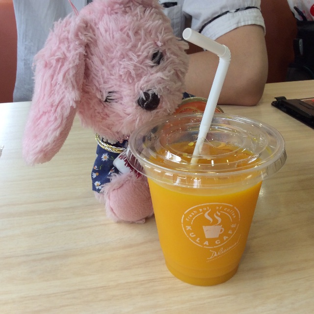 f:id:pinkstrawberryflavor:20150621091532j:image f:id:pinkstrawberryflavor:20150621091532j:image