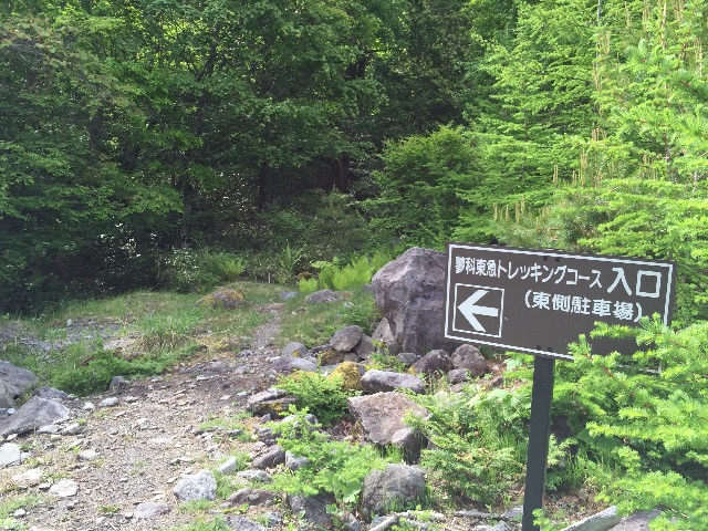 f:id:pinkumaaa:20150609064104j:image f:id:pinkumaaa:20150609064104j:image