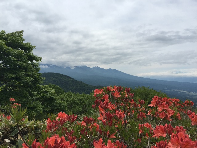 f:id:pinkumaaa:20150610051413j:image f:id:pinkumaaa:20150610051413j:image