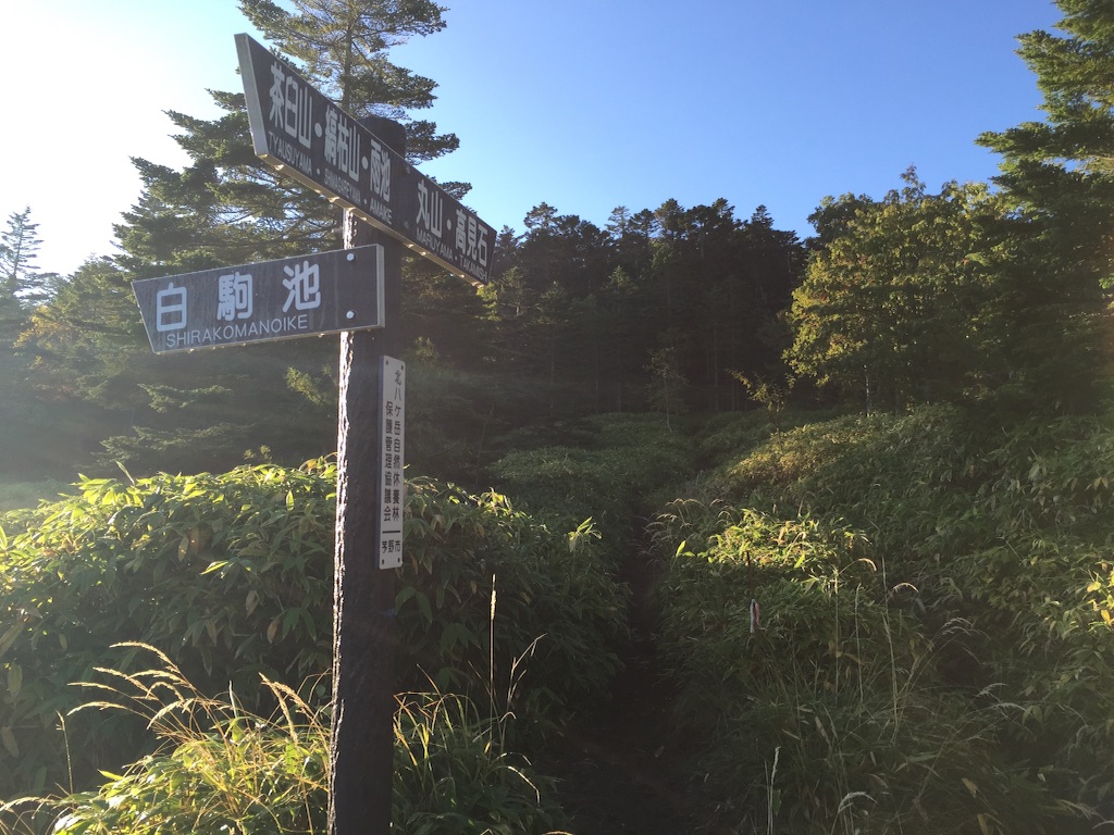 f:id:pinkumaaa:20150916171926j:image f:id:pinkumaaa:20150916171926j:image