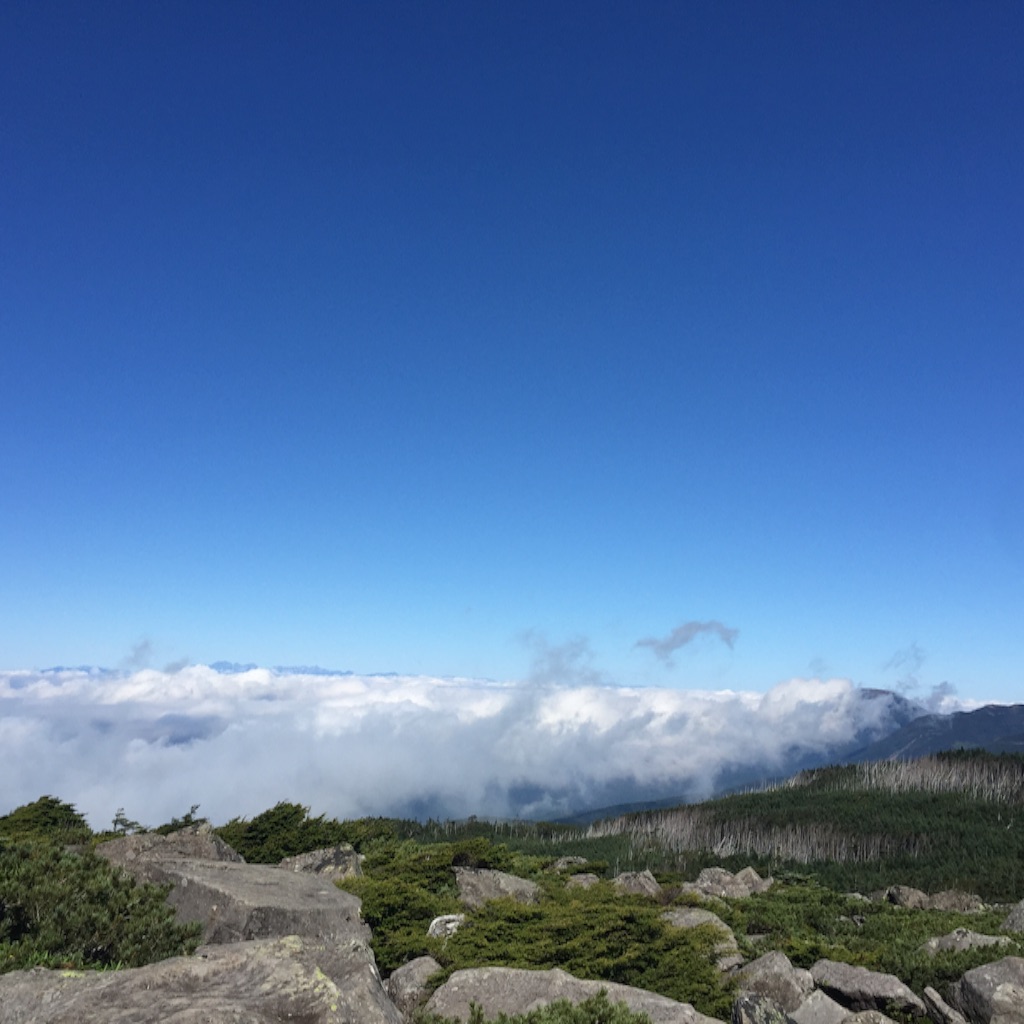 f:id:pinkumaaa:20150917034845j:image f:id:pinkumaaa:20150917034845j:image
