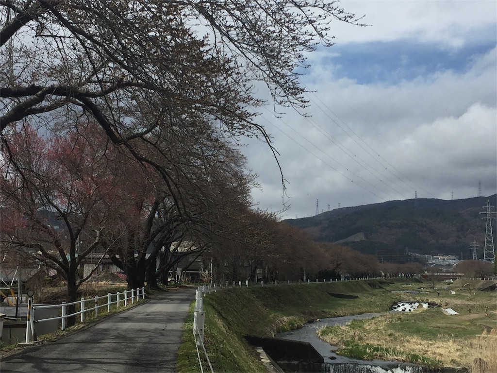 f:id:pinkumaaa:20160405164007j:image f:id:pinkumaaa:20160405164007j:image