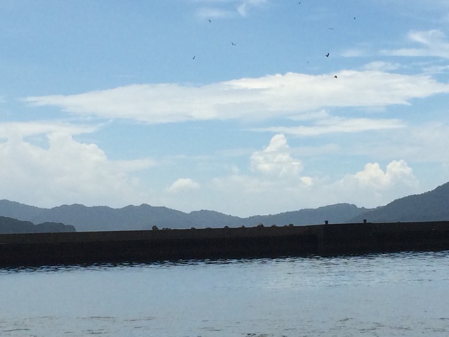 f:id:pinoism:20140826224534j:plain f:id:pinoism:20140826224534j:plain