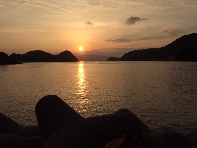 f:id:pinoism:20141113095351j:plain f:id:pinoism:20141113095351j:plain
