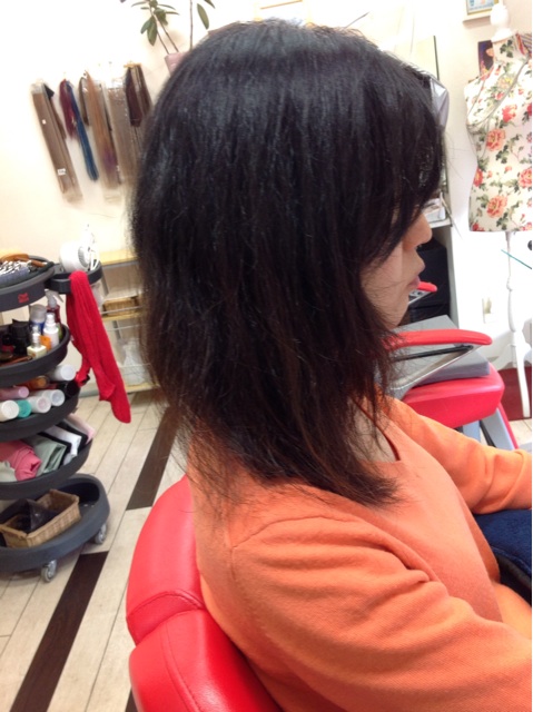 f:id:pinoism:20141202152339j:plain f:id:pinoism:20141202152339j:plain