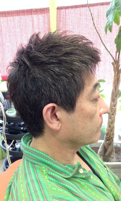 f:id:pinoism:20150221193304j:plain f:id:pinoism:20150221193304j:plain