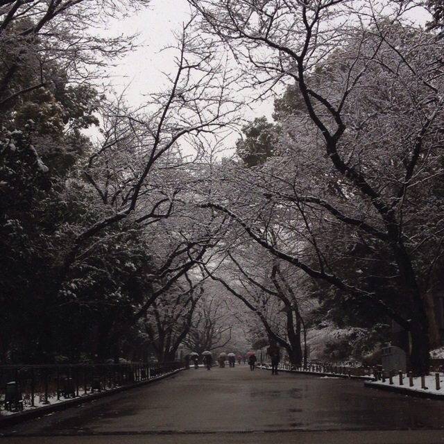 f:id:pinza0604:20140225015637j:plain f:id:pinza0604:20140225015637j:plain
