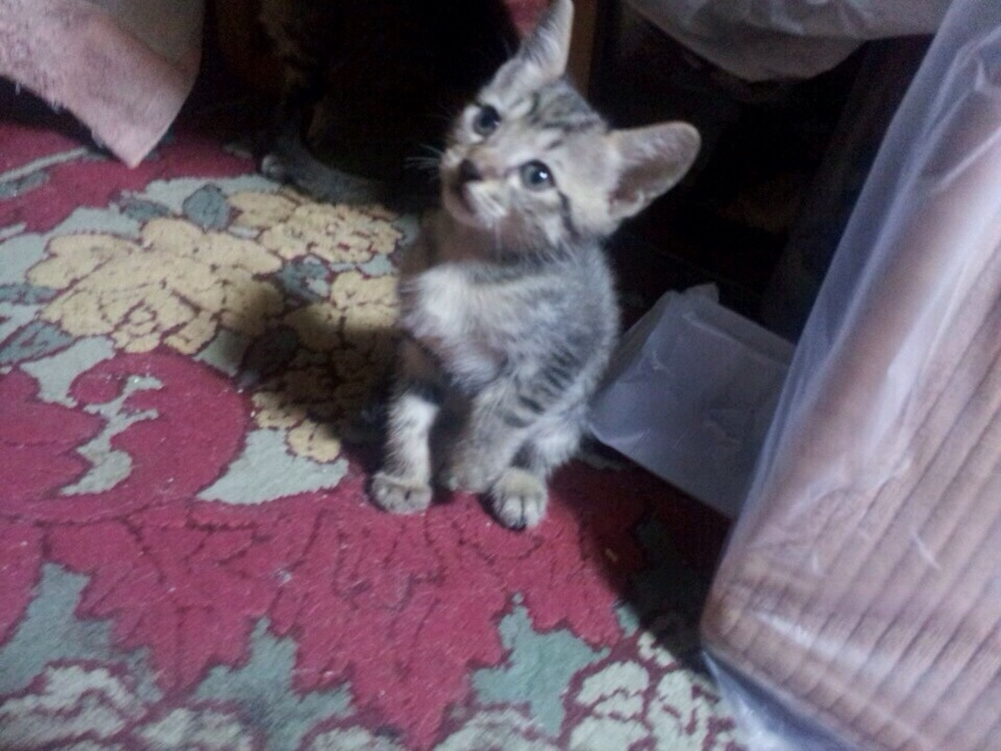 f:id:pipipi1007:20150824004746j:image f:id:pipipi1007:20150824004746j:image