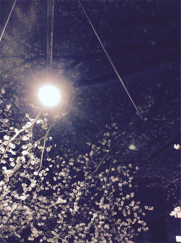 f:id:piropirosurf:20160401210239j:image f:id:piropirosurf:20160401210239j:image