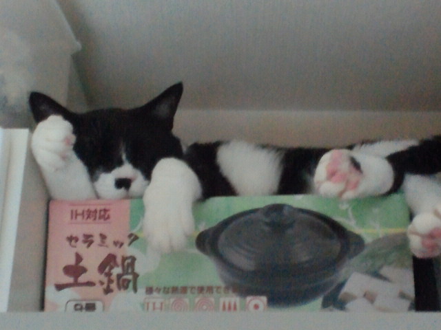f:id:pistatio:20120813180600j:plain f:id:pistatio:20120813180600j:plain