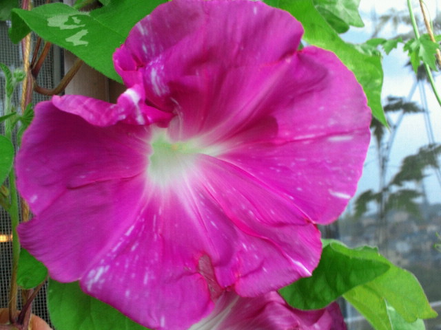 f:id:pistatio:20120814090100j:plain f:id:pistatio:20120814090100j:plain