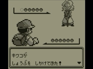 f:id:pkmn_039:20160316172244j:plain f:id:pkmn_039:20160316172244j:plain