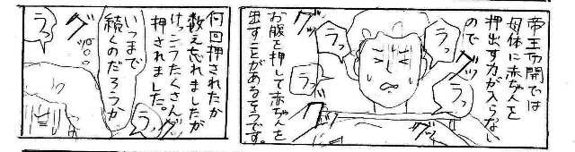 f:id:planterplantan:20150315234635j:image f:id:planterplantan:20150315234635j:image