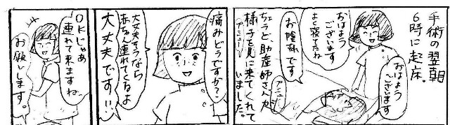 f:id:planterplantan:20150328102823j:image f:id:planterplantan:20150328102823j:image