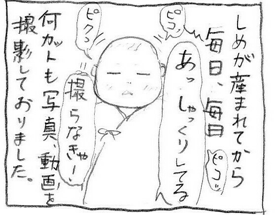 f:id:planterplantan:20150408191532j:image f:id:planterplantan:20150408191532j:image