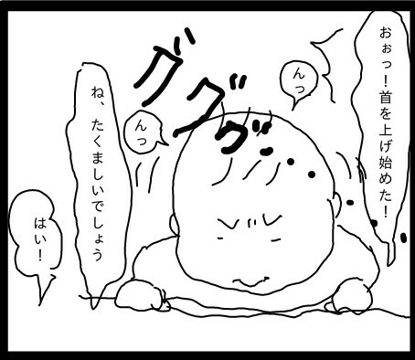 f:id:planterplantan:20150501215700j:image f:id:planterplantan:20150501215700j:image