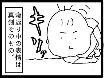 f:id:planterplantan:20150518223854j:image f:id:planterplantan:20150518223854j:image