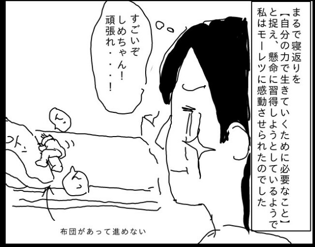 f:id:planterplantan:20150518223900j:image f:id:planterplantan:20150518223900j:image