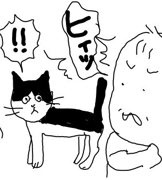 f:id:planterplantan:20150521114320j:image f:id:planterplantan:20150521114320j:image