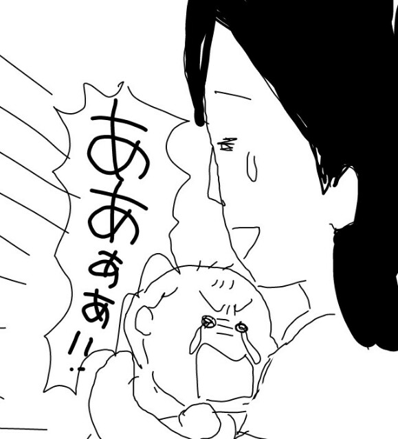 f:id:planterplantan:20150613011811j:image f:id:planterplantan:20150613011811j:image