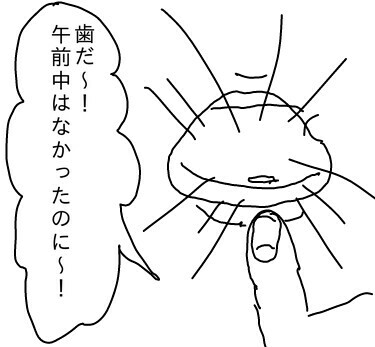 f:id:planterplantan:20150618140816j:image f:id:planterplantan:20150618140816j:image