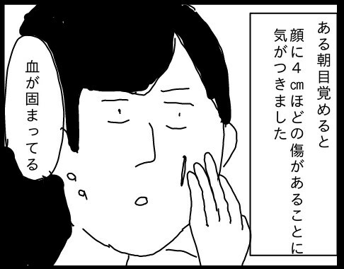 f:id:planterplantan:20150701013336j:image f:id:planterplantan:20150701013336j:image