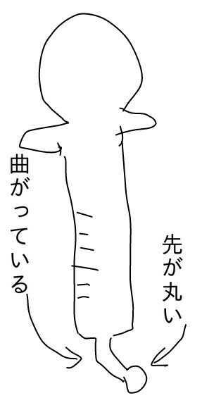 f:id:planterplantan:20150706214003j:image f:id:planterplantan:20150706214003j:image