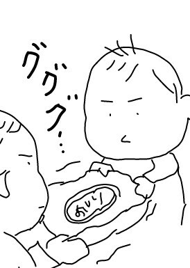 f:id:planterplantan:20150708215951j:image f:id:planterplantan:20150708215951j:image
