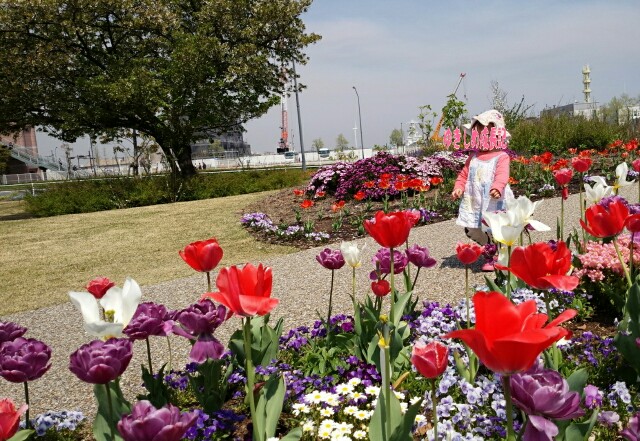 f:id:planterplantan:20150821130929j:image f:id:planterplantan:20150821130929j:image