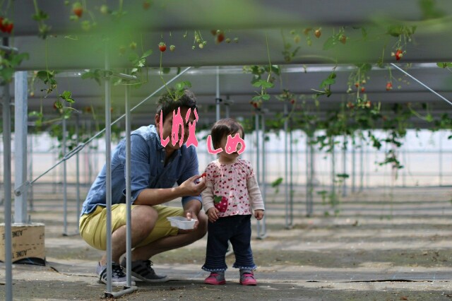 f:id:planterplantan:20150822125503j:image f:id:planterplantan:20150822125503j:image