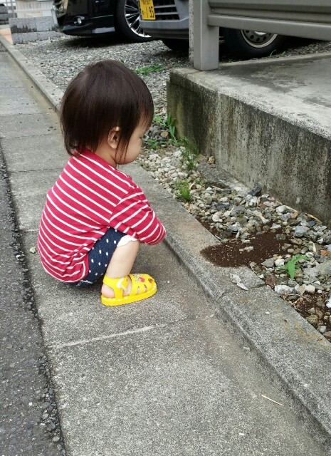 f:id:planterplantan:20150827182134j:image f:id:planterplantan:20150827182134j:image