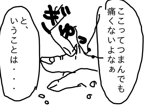 f:id:planterplantan:20151027193722j:image f:id:planterplantan:20151027193722j:image