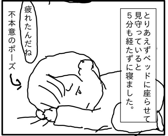 f:id:planterplantan:20160307233222j:image f:id:planterplantan:20160307233222j:image