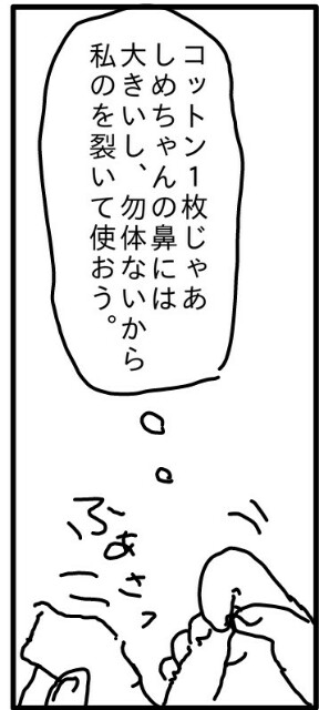 f:id:planterplantan:20160315234054j:image f:id:planterplantan:20160315234054j:image