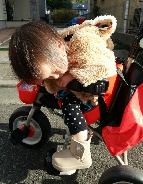 f:id:planterplantan:20160401231322j:image f:id:planterplantan:20160401231322j:image