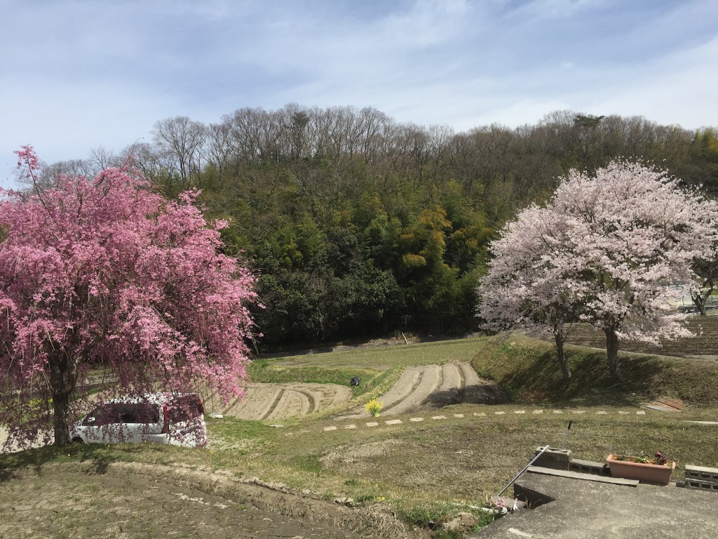 f:id:playfulsandpit:20160407231610j:image f:id:playfulsandpit:20160407231610j:image