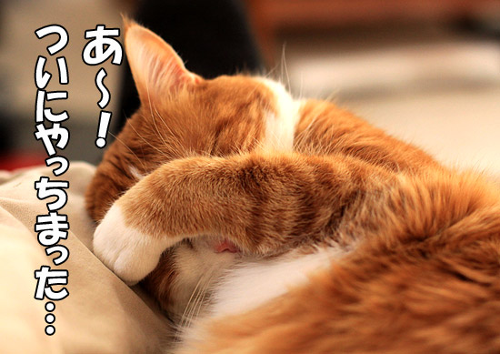 f:id:pleasegoodtimes:20140908232041j:plain