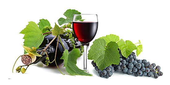 f:id:pleasegoodtimes:20151118220728j:plain