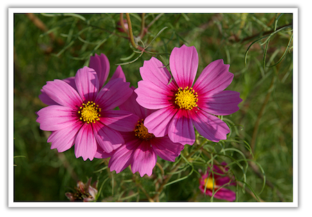 f:id:pleasure10501:20150419160027p:plain