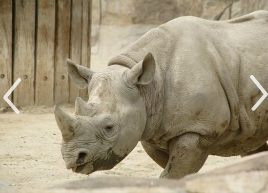 f:id:pleasure10501:20150423205258p:plain