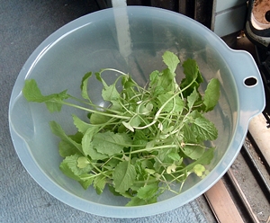 f:id:plnttr831:20120514122723j:image