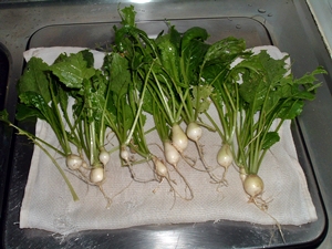 f:id:plnttr831:20120616155110j:image