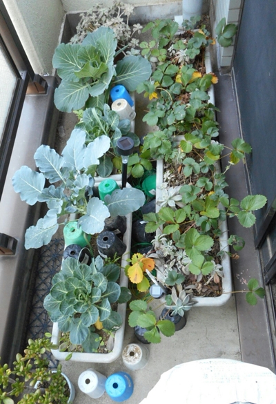 f:id:plnttr831:20151209105014j:plain