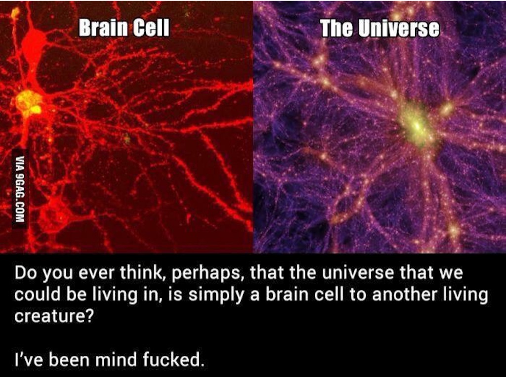 f:id:plus-ultra:20150911185359j:image f:id:plus-ultra:20150911185359j:image