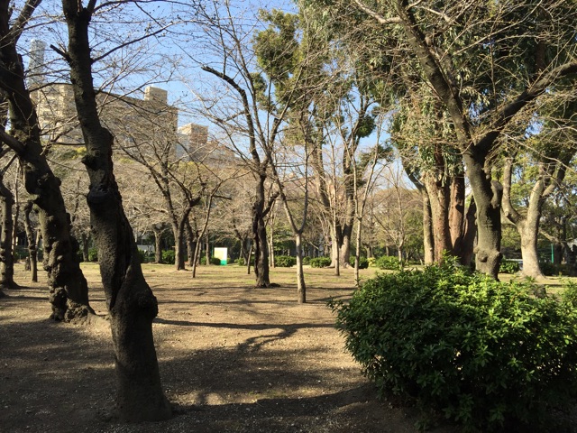 f:id:plusspace:20150317152022j:plain f:id:plusspace:20150317152022j:plain