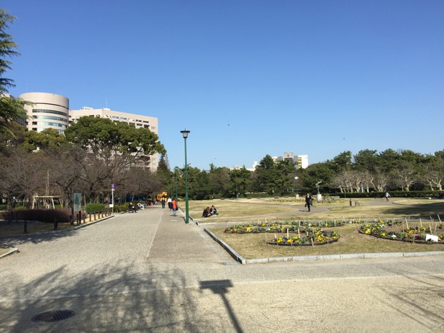 f:id:plusspace:20150317152152j:plain f:id:plusspace:20150317152152j:plain