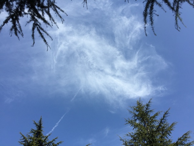 f:id:plusspace:20150317152318j:plain f:id:plusspace:20150317152318j:plain