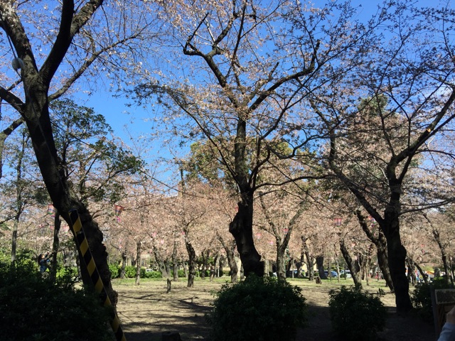 f:id:plusspace:20150326094808j:plain f:id:plusspace:20150326094808j:plain